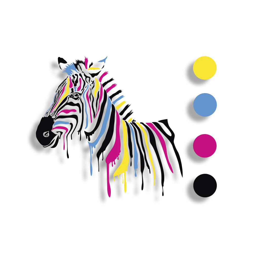 Color Separation Color Separation for Vector Graphics